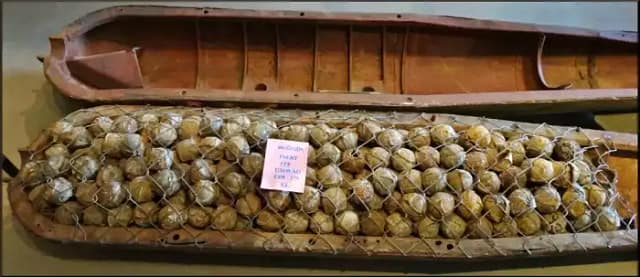 Veteranos critican las “bombas de racimo para Ucrania” y exigen a Biden detener las guerras en el país y en el extranjero