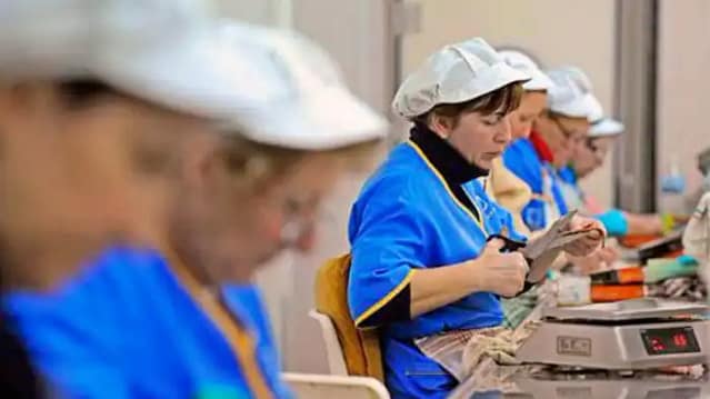 Foto de trabajadoras de la confección
