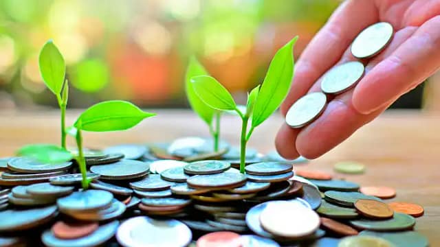 Imagen de monedas ahogando brotes verdes