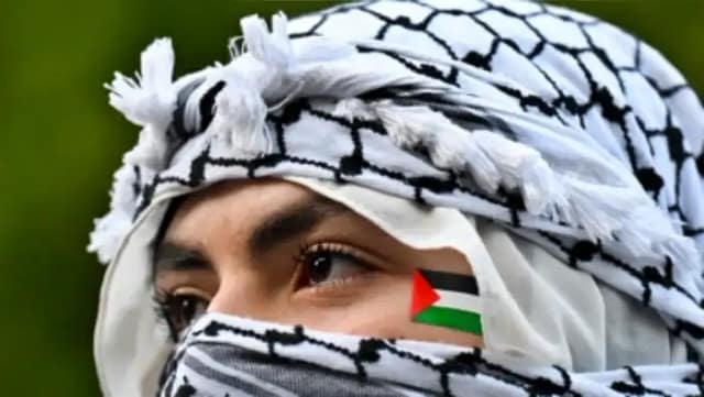 Foto de manifestante palestina