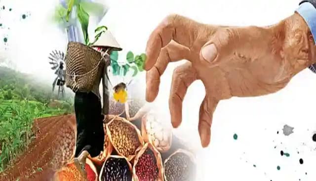 Neoliberalisme alimentari? No, gràcies!