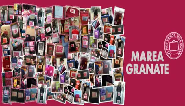 Hoja de presentación de Marea Granate