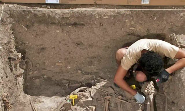 Técnico excavando en la fosa de paterna 146