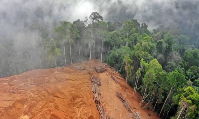 Carta al presidente Lula para que rechace la Ley parlamentaria de devastación de la Amazonía.