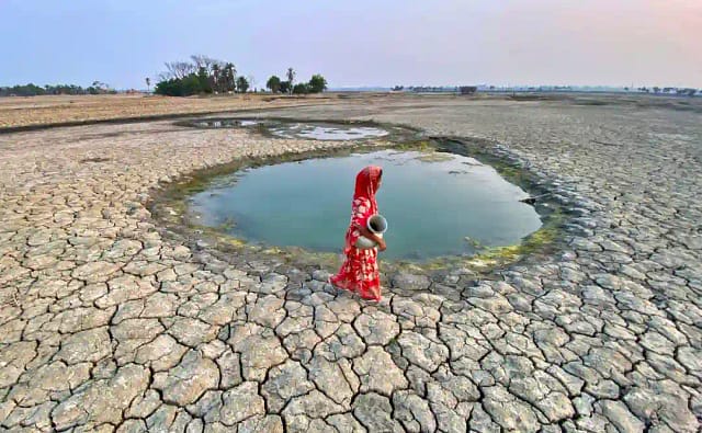 Foto del artículo original con desierto y charco de agua