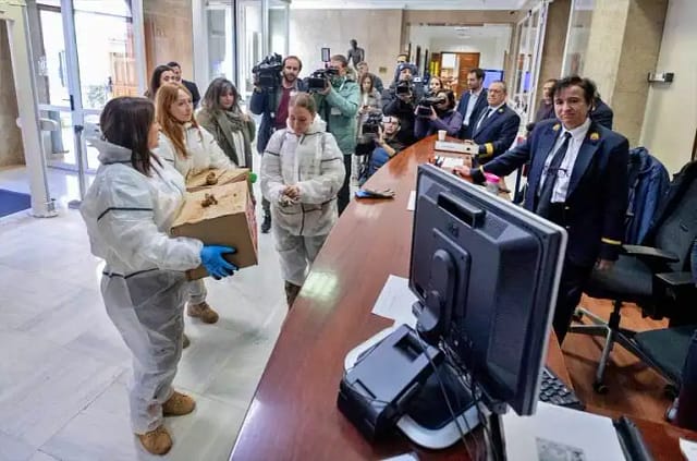 Familiares de los fallecidos por la Dana entregan 65.000 firmas en el Congreso pidiendo justicia