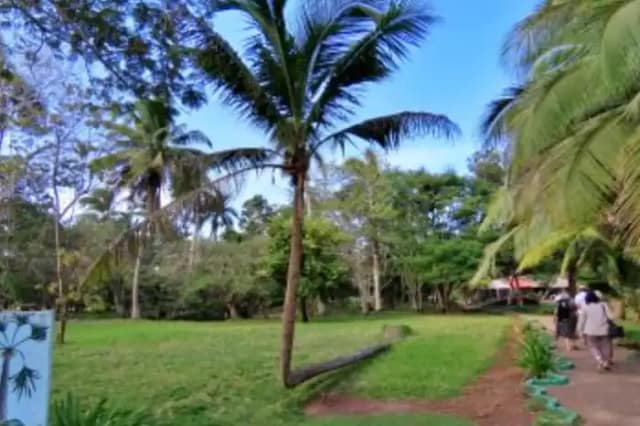 Cuba: venas abiertas, un pueblo en batalla.